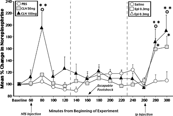 Norepinephrine Assay with HPLC