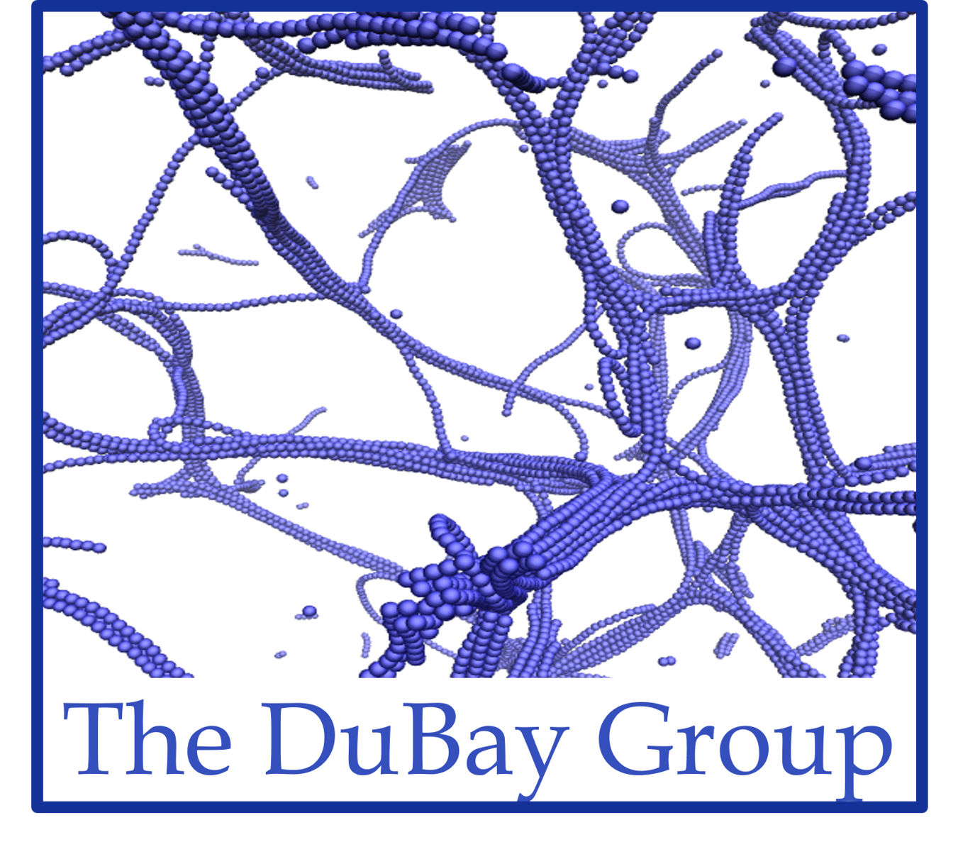 Dubay_group