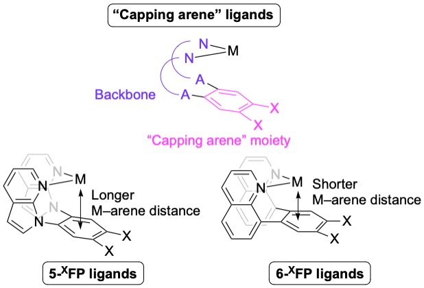 Capping Arene Ligands