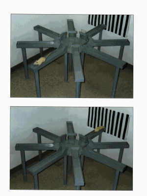 Win-Shift Radial Maze Training Procedures