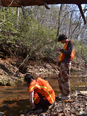 NWG students collecting water samples by a stream in a forest.