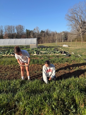 NWG students collecting soil samples for analysis at the Morven Kitchen Garden.