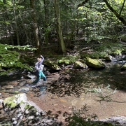 tess_wading