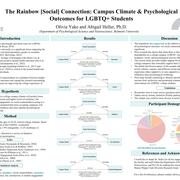 The Rainbow [Social] Connection: Campus Climate and Psychological Outcomes for LGBTQ+ Students