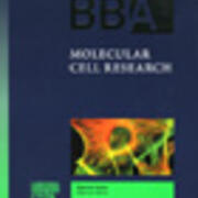 Preface| Biochimica et Biophysica Acta (BBA)-Molecular Cell Research-Volume 1496, Issue 1