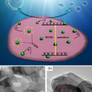 Enhanced photocatalytic performance of carbon quantum dots/BiOBr composite and mechanism investigation