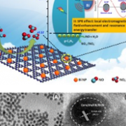 Monodisperse bismuth nanoparticles decorated graphitic carbon nitride: Enhanced visible-light-response photocatalytic NO removal and reaction pathway