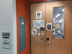 Door