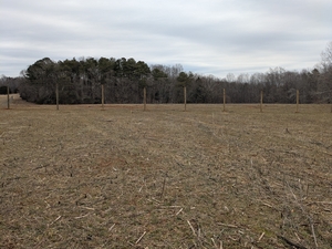 common garden before