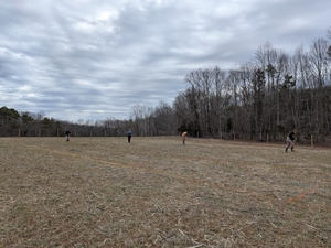 hole digging race!