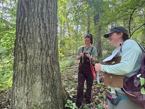Tree Coring at SCBI