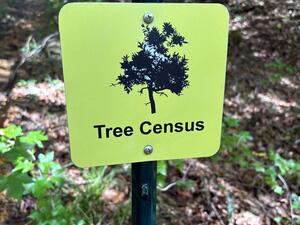 Tree Census/ ForestGEO sign