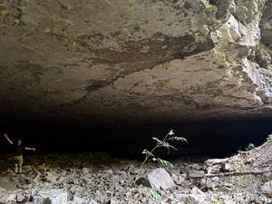 Wild Cave!