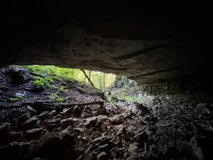 Wild Cave!!!