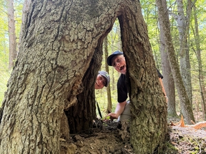 hello through the blackgum!