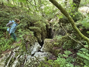 tess and cave