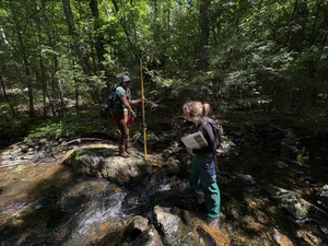 Stream crossing