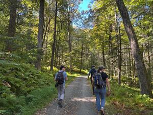 Carriage road at Mohonk