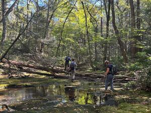 Mohonk Preserve stream walking!