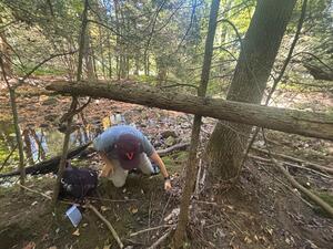 Scrounging for seeds!