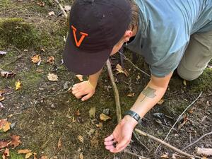 Seed scrounging