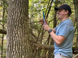 Ethan coring a tupelo