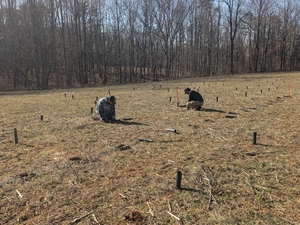 planting!