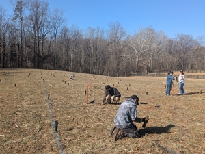 planting!