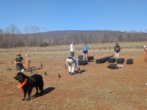 organizing the planting!
