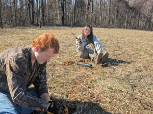 planting!