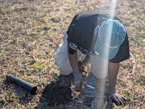 Planting!