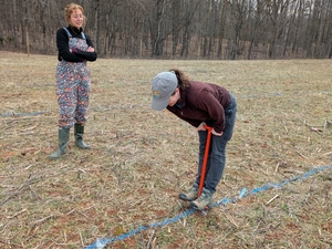 Hole digging technique