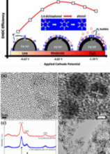 Identification of Active Hydrogen Species on Palladium Nanoparticles for an Enhanced Electrocatalytic Hydrodechlorination of 2,4-Dichlorophenol in Water