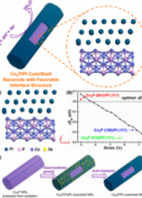 Favorable Core/Shell Interface within Co2P/Pt Nanorods for Oxygen Reduction Electrocatalysis