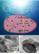 Enhanced photocatalytic performance of carbon quantum dots/BiOBr composite and mechanism investigation