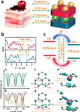 Oriented Charge Flow and Photocatalysis Mechanism on Internal van der Waals Heterostructures Enhan