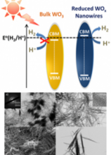 Photocatalytic Hydrogen Evolution from Substoichiometric Colloidal WO3–x Nanowires