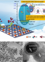 Monodisperse bismuth nanoparticles decorated graphitic carbon nitride: Enhanced visible-light-response photocatalytic NO removal and reaction pathway