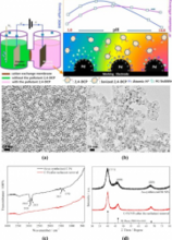 Electrocatalytic hydrodechlorination of 2,4-dichlorophenol over palladium nanoparticles and its pH-mediated tug-of-war with hydrogen evolution