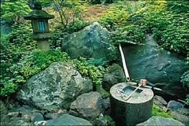The Japanese Garden at Morven