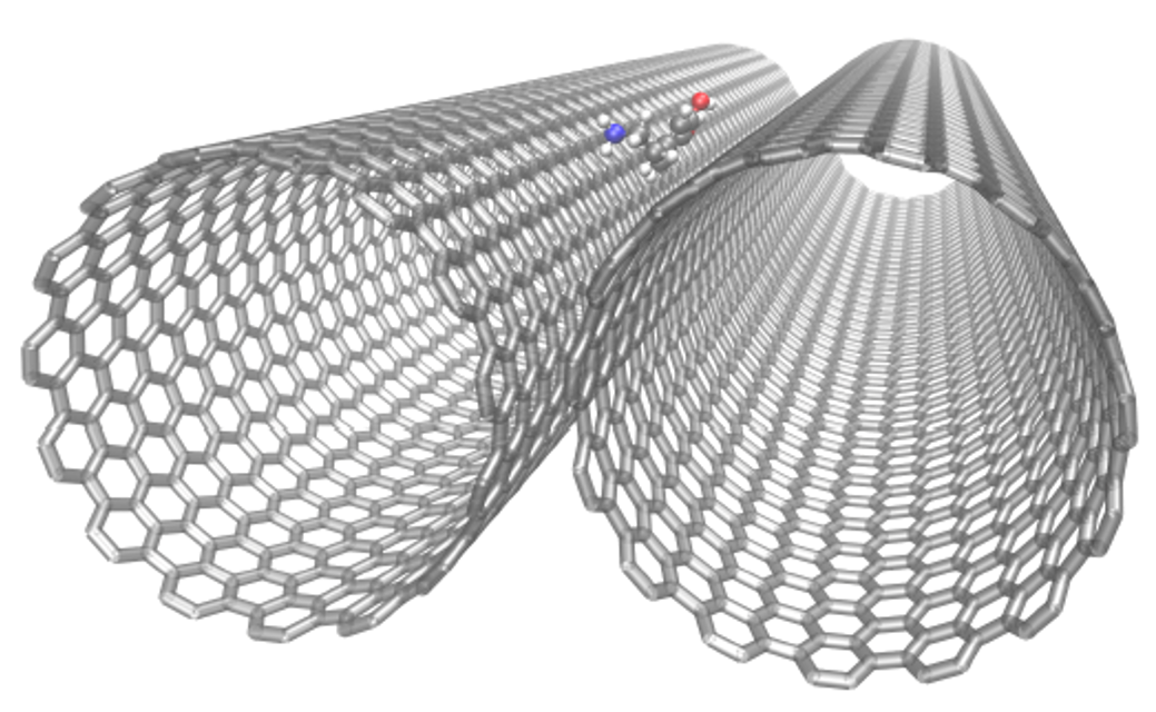 Dopamine Adsorbed on Carbon Nanotubes