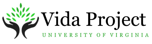 VIDA Project Logo