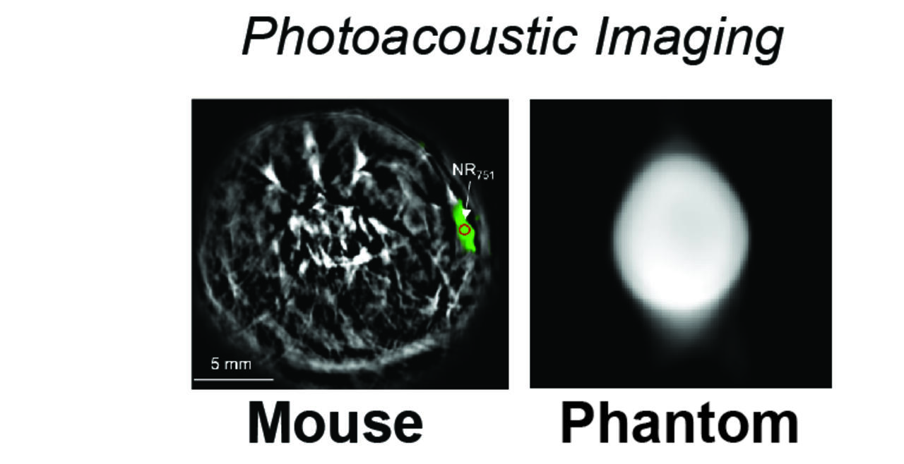 Near-Infrared Dyes