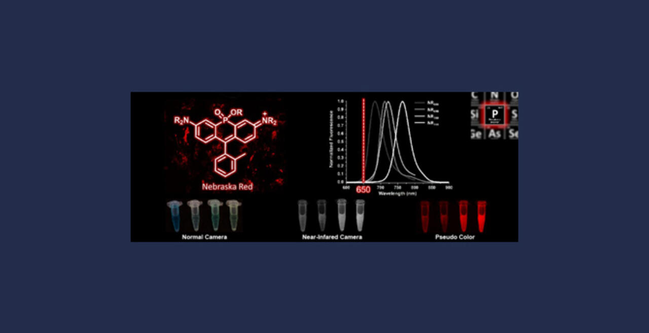 New Fluorophores for Chemical Biology