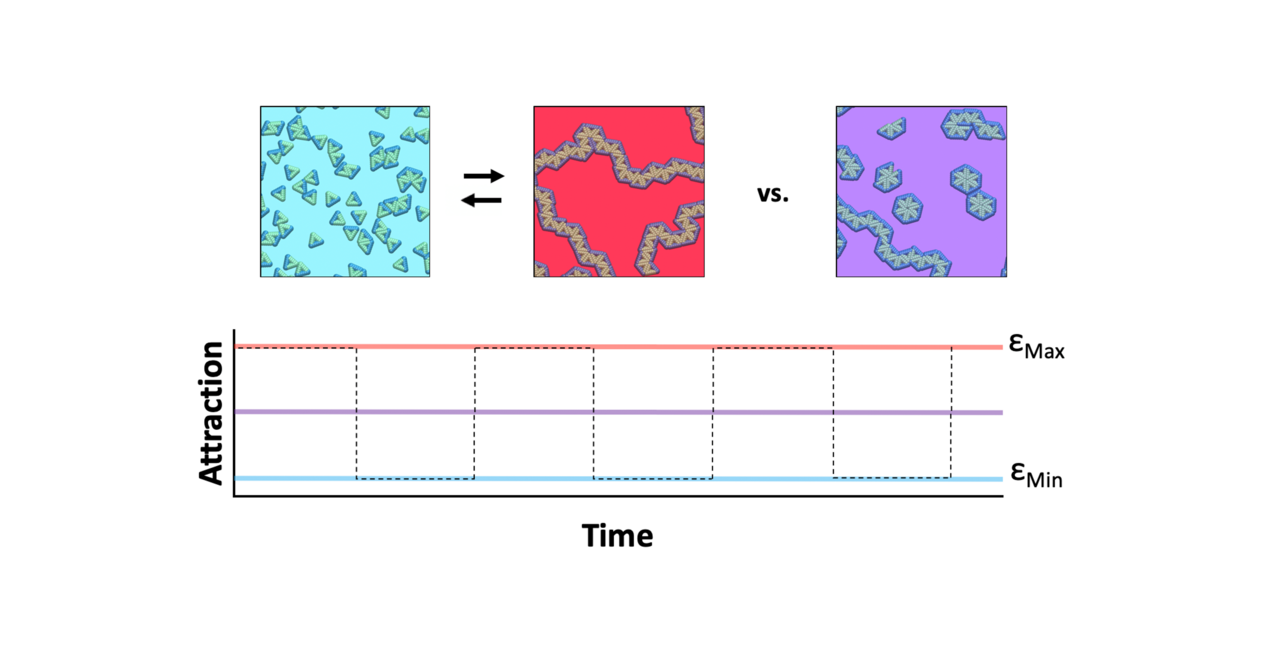 Oscillating attractions affect self-assembly