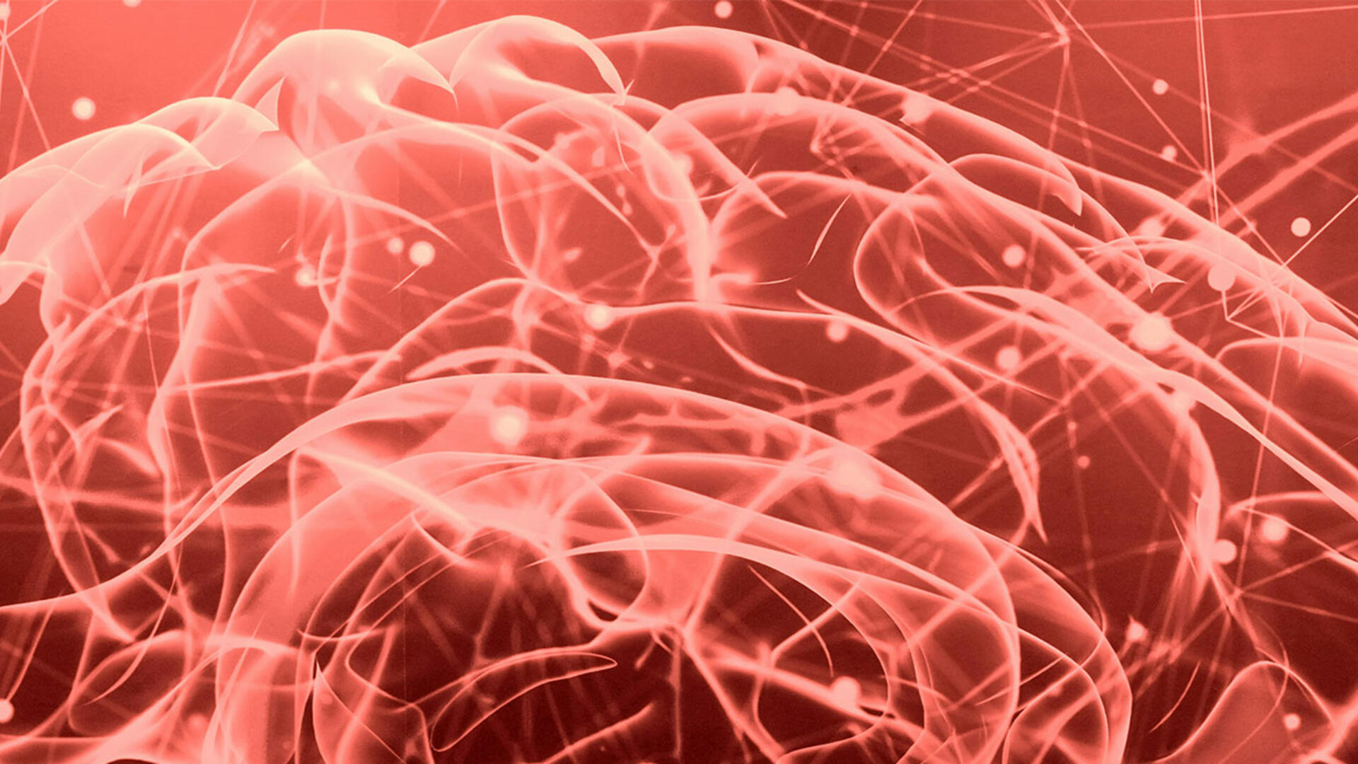  identifying the mechanisms by which neuroendocrine hormones released during meaningful or emotionally arousing events influence the brain to encode memory for these types of experiences more effectively