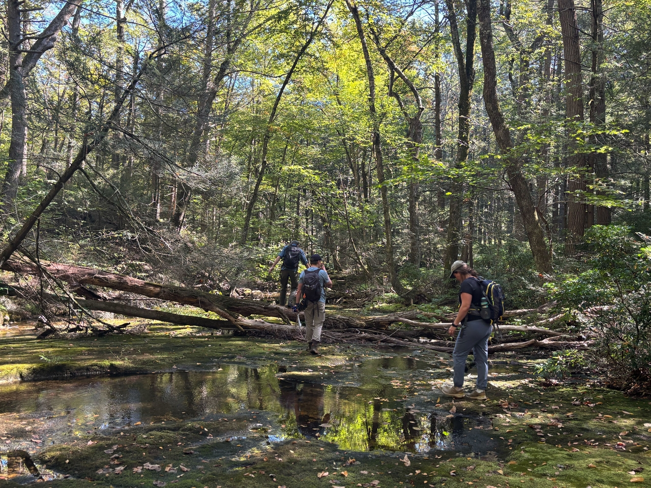 Mohonk Preserve