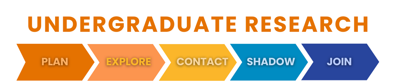The words Undergraduate Research. Below these words are 5 arrows, which have the following words on them: plan, explore, contact, shadow, join