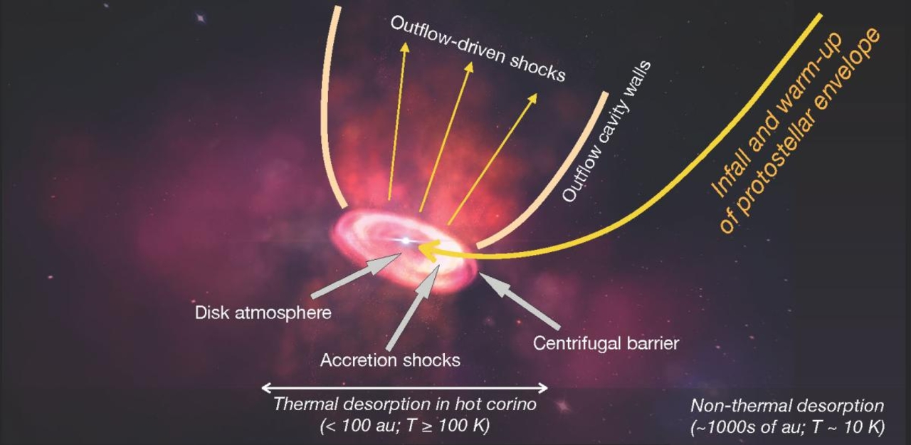 Above: Figure 1 from the review of Jørgensen, Belloche & Garrod (2020), showing a young solar-type protostar and the structural components that are key to its chemistry.