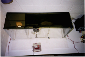 Inhibitory Avoidance Training